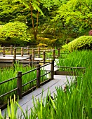 Walkway in Japanese Garden