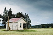 Eine verlassene Holzhütte