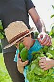 Junge steht mit Salat und Gurken vor dem Grossvater im Gemüsegarten