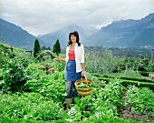 Frau mit Erntekorb im Gemüsegarten (Südtirol)