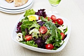 Mixed Green Salad with Buffalo Mozzarella, Cherry Tomatoes, Egg and Vinaigrette
