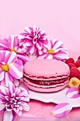 Pink Macaron mit Himbeermarmelade