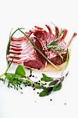 Raw lamb chops with various herbs and spices