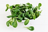 A bowl of lamb's lettuce