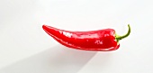 A red chilli