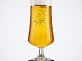 A glass of sparkling beer