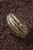 Kakaobohne aus Schokolade