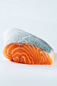 Fresh salmon fillet