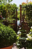 Blühende Gurkenpflanze und Stuhl vor einem verrosteten Gartentor