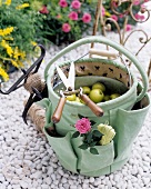 Gartenschere und mit Äpfeln gefüllte Gartentasche auf weissen Kieselsteinen