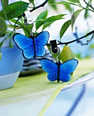 Blaue Deko-Schmetterlinge mit Klips auf Bäumchen gehängt