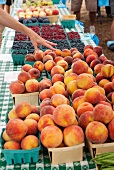 Hand Reaching for Peaches at a Farmer's Market
