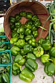 Grüne Paprika auf Marktstand