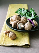 Whole Shiitake Mushroom and Organic Fresh Kale