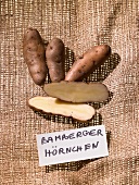 Kartoffeln der Sorte Bamberger Hörnchen
