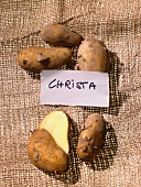 Christa potatoes