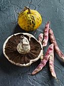 An autumnal arrangement featuring a Portobello mushroom, a pumpkin and borlotti beans