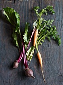 Beetroot and carrots with leaves (seen from above)