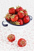 Fresh strawberries in an enamel colander