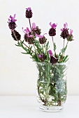 Blühender Lavendel in Glasgefäss