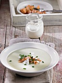 Vichysoisse (cold leek and potato soup, France)