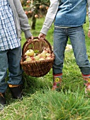 Girl and boy holding apple basket
