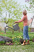 woman watering garden flowers