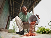 Coffee Worker With Coffee Beans