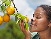 Frau riecht an Orangen auf einem Baum