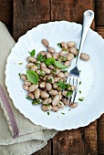Cooked borlotti beans with basil on a white plate