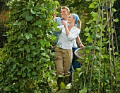 Young couple pruning a bean plant