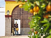 Mann mit Korb voller Orangen in Toreingang stehend