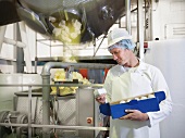 Worker inspecting goat’s butter in dairy