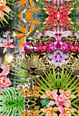 Collage mit Jaguaren und tropischen Pflanzen (Illustration)