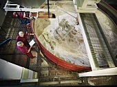 Arbeiter überprüft Whiskyherstellung in der Brennerei