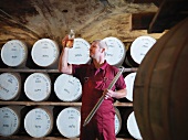 Arbeiter überprüft Whisky in der Brennerei