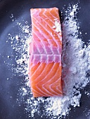 Salmon fillet being dusted with flour