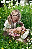 Little girl in national costume with picnic basket in meadow