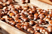 Sweet chestnuts