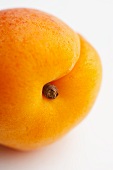 Eine Aprikose (Close Up)