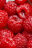 Fresh Raspberries; Close Up