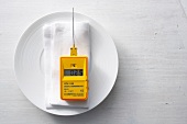 A meat thermometer