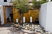 Wooden shed on the terrace of a home behind a stone garden bed mstone with an olive tree