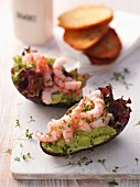 Avocado boats with prawns