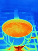 An infa red picture of a cooking pot on a gas stove