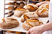 A woman holding a tray of freshly baked bread