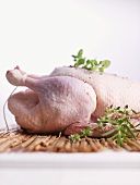 A raw chicken with herbs