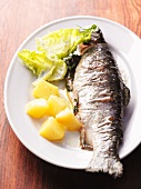 Steamed trout with potatoes and mayonnaise