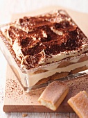 Tiramisu (layered mascarpone dessert, Italy)