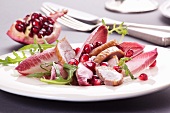 Goose breast with pomegranate seeds on a radicchio salad